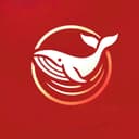 Little Whale logo